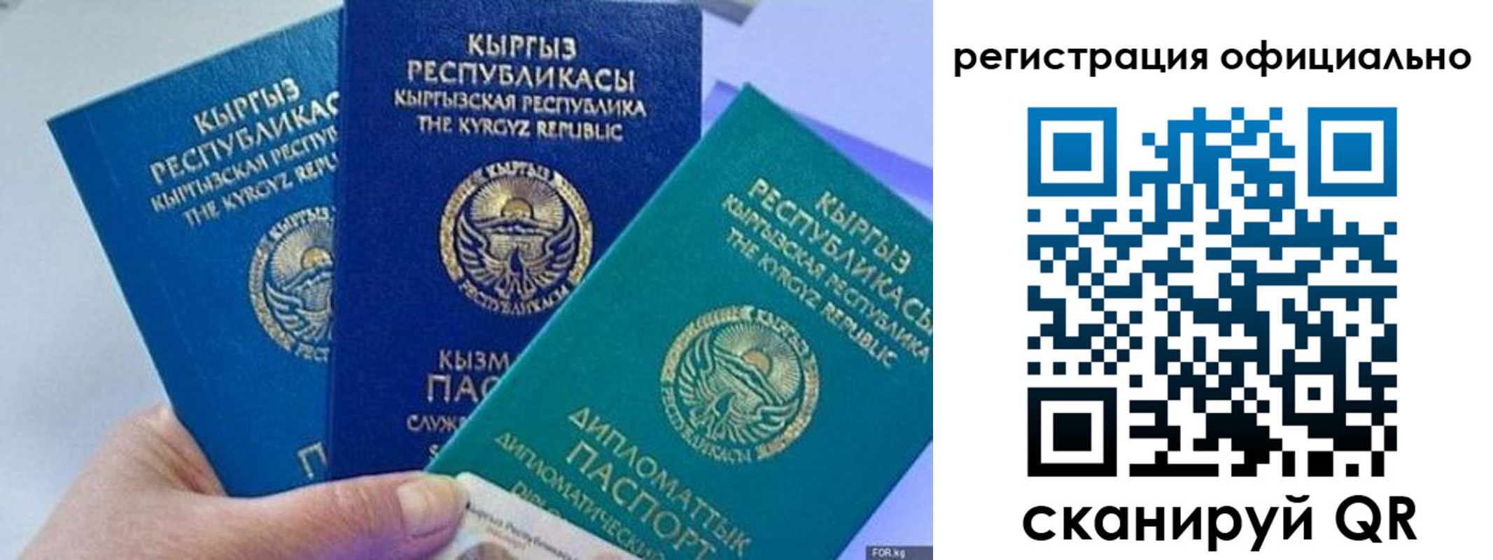 прописка в Купино